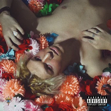 Reckless Childish Young Adult by Jayden Davies - album cover