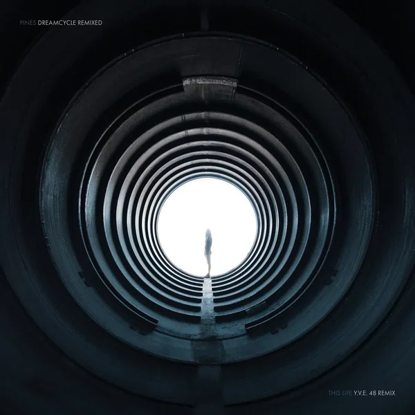 This Life (Y.V.E. 48 remix)