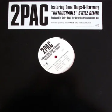 Untouchable (Swizz Beatz remix)