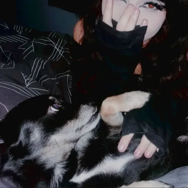 give me five
