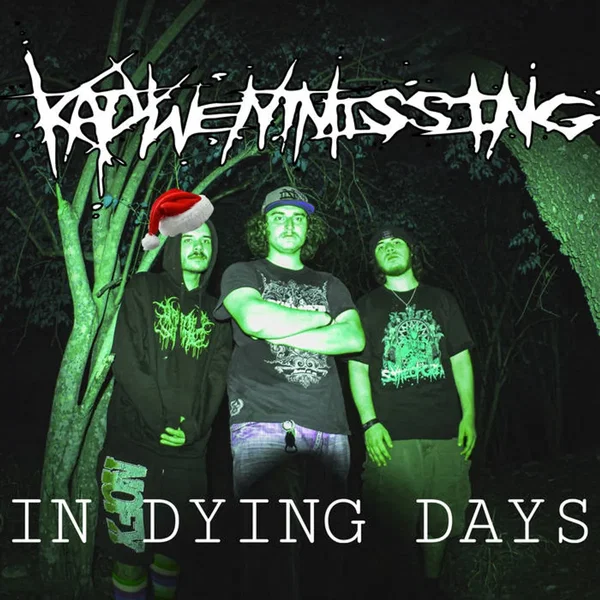 In Dying Days (cover)