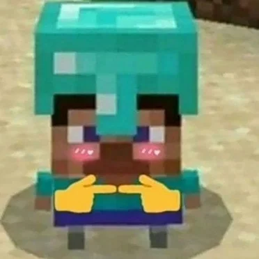 MINECRAFT ONG