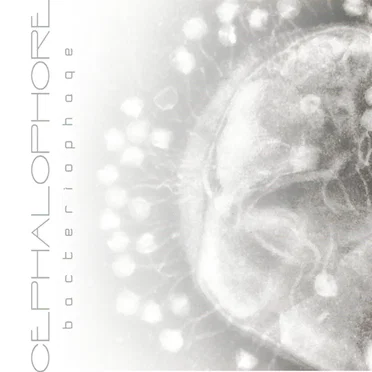 Bacteriophage by Cephalophore - album cover