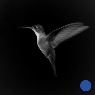 Do You Feel the Same? (OCULA remix)