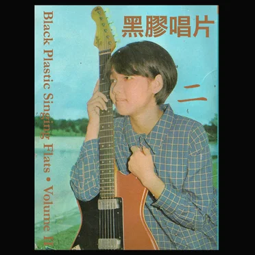 Black Plastic Singing Flats Volume II by Various Artists - album cover