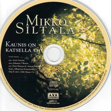 Kaunis on katsella