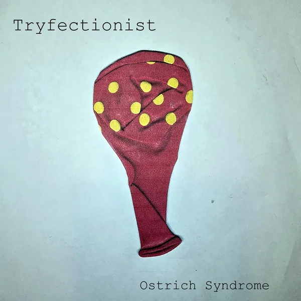Tryfectionist