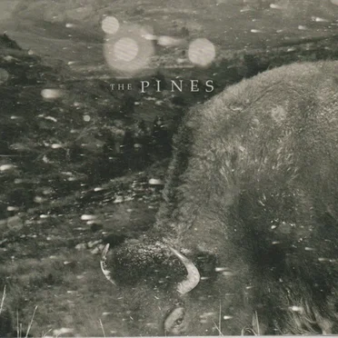 Pasture: Folk Songs