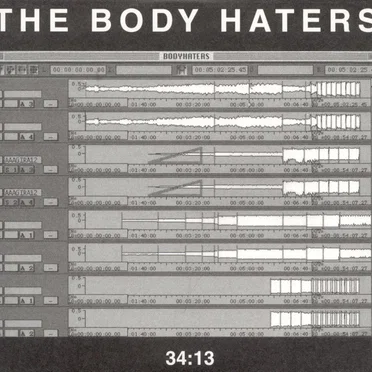 34:13 by The Body Haters - album cover