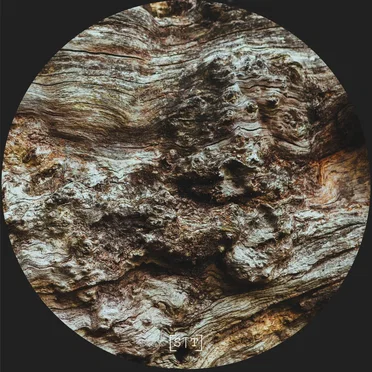 All The While Staying Perfectly Still by Mateo Hurtado - album cover