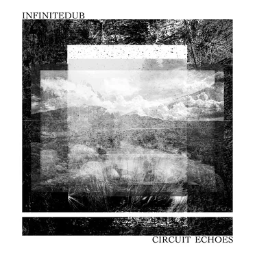 Circuit Echoes