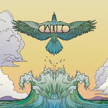 Pájaro de agua