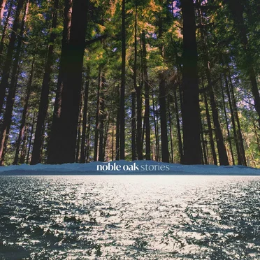 Look Up Through the Trees