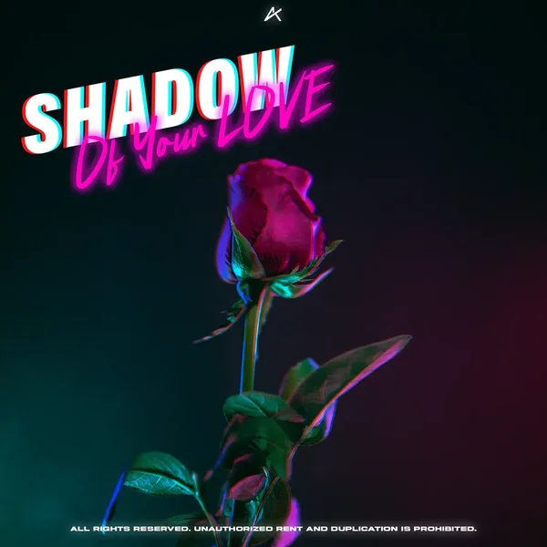 Shadow Of Your Love