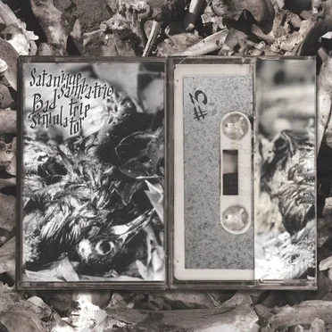 Bad Trip Simulator #3 by Satanique Samba Trio - album cover