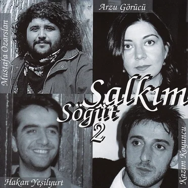 Salkım Söğüt 2 by Various Artists - album cover