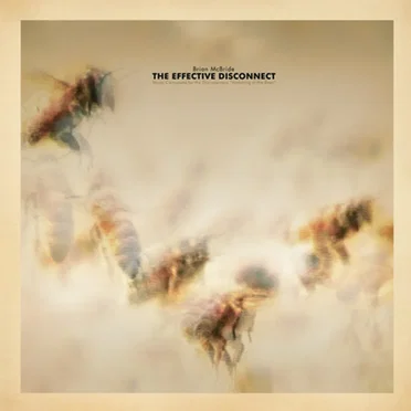 The Effective Disconnect by Brian McBride - album cover