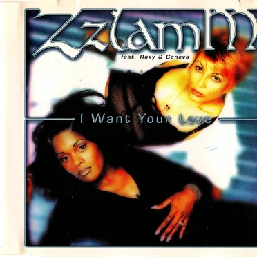 I Want Your Love