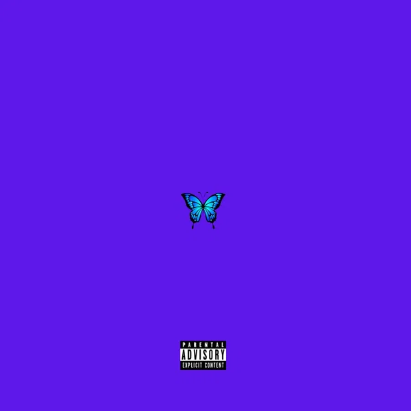 ButterFly Effect