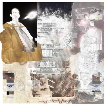 TRASHLORD JAMS (sutured evidence mixtape) by eeli - album cover