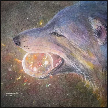 unerasable fire by Anoice - album cover