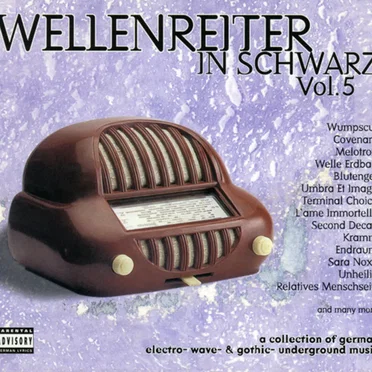 Wellenreiter in Schwarz, Volume 5 by Various Artists - album cover