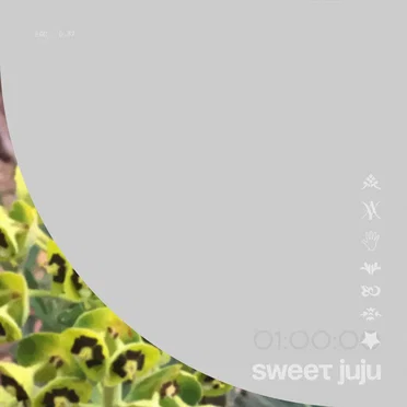 Sweet Juju