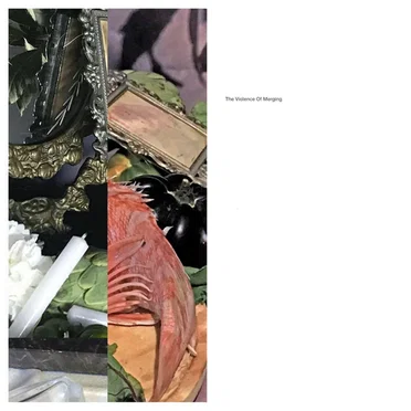 The Violence Of Merging by Various Artists - album cover