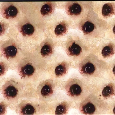 Recyclopaedia Britannica: Selected Works 1992-2002