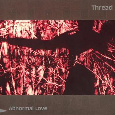 Abnormal Love by Thread - album cover