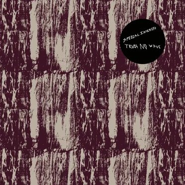 Trust No Wave: The 2016 Demos
