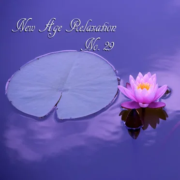 New Age Relaxation, No. 29 by Various Artists - album cover