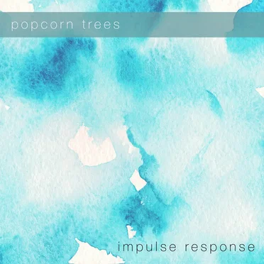 Impulse Response