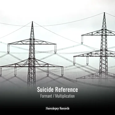 Formant / Multiplication by Suicide Reference - album cover