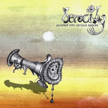 Puzzled Into Various Spaces by Ferocity - album cover