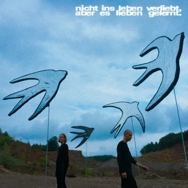 nicht ins leben verliebt, aber es lieben gelernt. by Tape Head - album cover