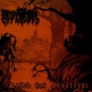 Reich der Schatten by Pestnebel - album cover