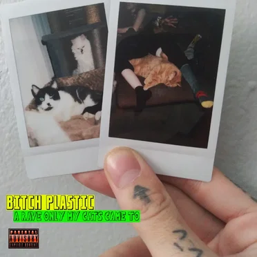 A Rave Only My Cats Came To by BITCH PLASTIC - album cover