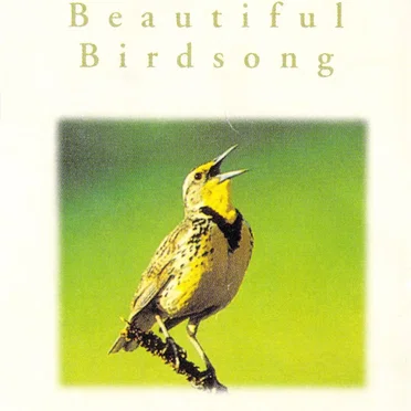The Sound of Relaxation: Beautiful Birdsong by Tranquillity - album cover