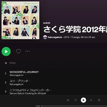 I Don't Normally Use Spotify, but When I Do I Record the Commercials