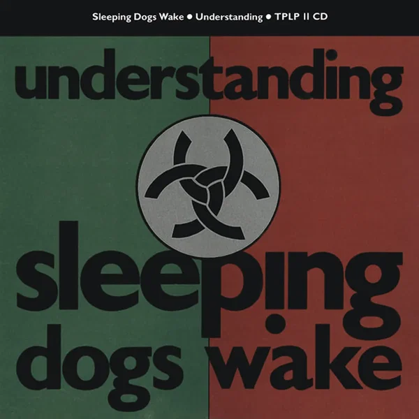 Understanding