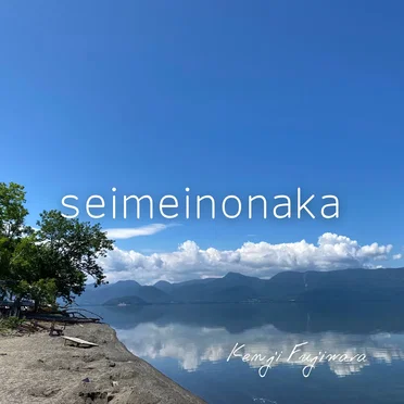 seimeinonaka by Kenji Fujiwara - album cover