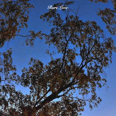 Rare Love by Douglas Diamond - album cover