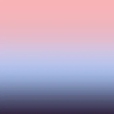 0081