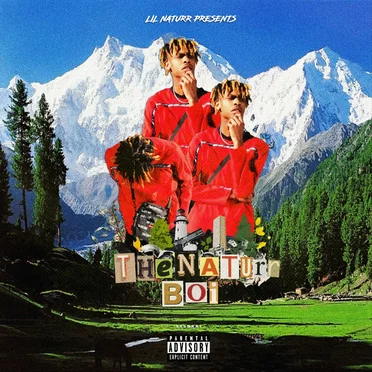 The Naturr Boi by Lil Naturr - album cover