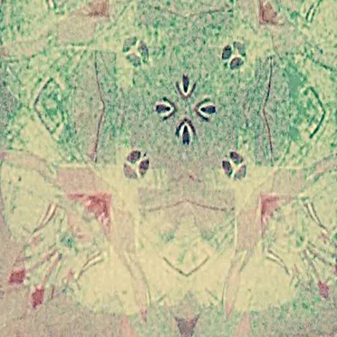 `¬!"£$%^&*()_+{}จองผ่านมือถือของคุณวันนี้และ :@~-=[];'#,./<>?\|