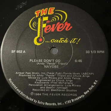 Please Don’t Go by Nayobe - album cover
