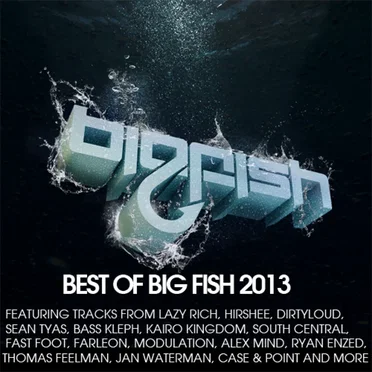 Best of Big Fish 2013 by Various Artists - album cover