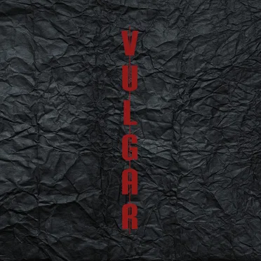 Vulgar by Trillion Catz - album cover