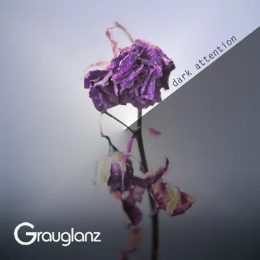 dark attention by Grauglanz - album cover